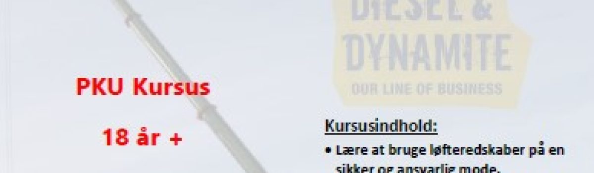 Skærmbillede 2026-01-28 090139